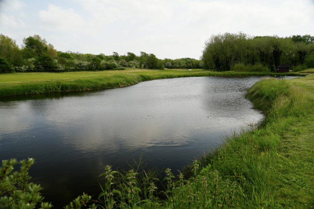 water-basin-golf-touque