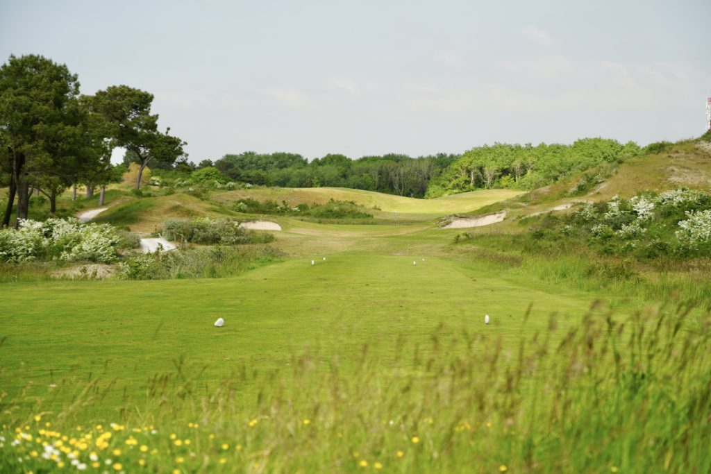 golf-touquet-rough-flowered