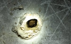 De nouveaux gîtes pour nos amis - Open Golf Club